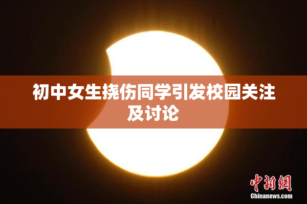 初中女生挠伤同学引发校园关注及讨论