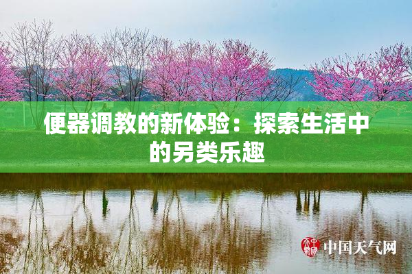 便器调教的新体验：探索生活中的另类乐趣