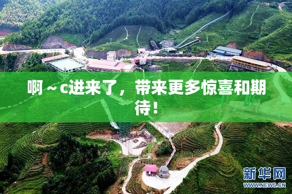 啊～c进来了，带来更多惊喜和期待！
