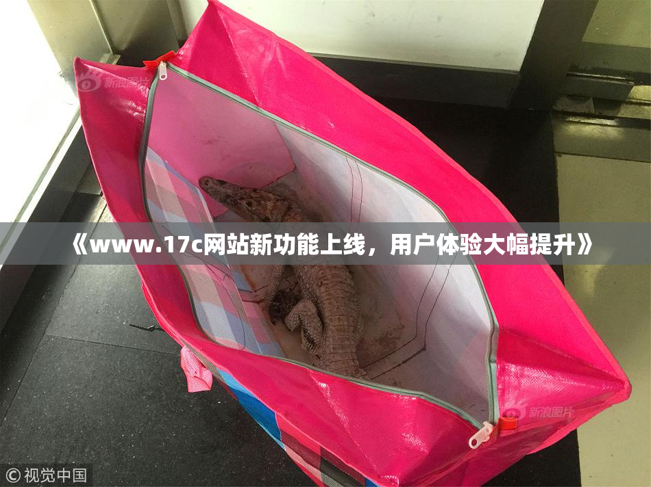 《www.17c网站新功能上线，用户体验大幅提升》