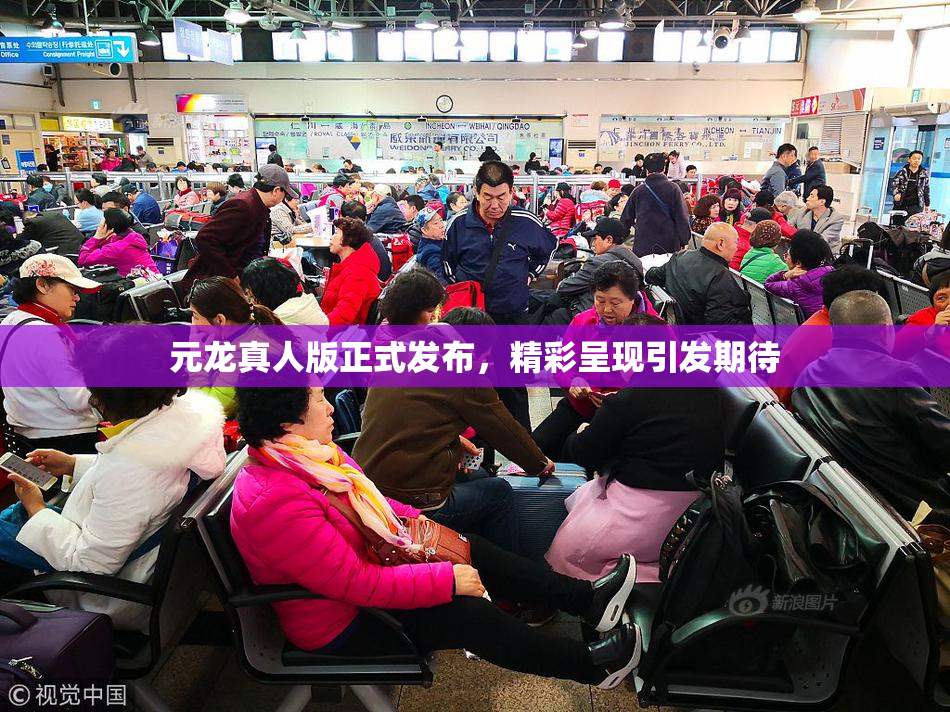 元龙真人版正式发布，精彩呈现引发期待