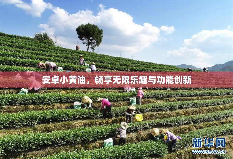 安卓小黄油，畅享无限乐趣与功能创新