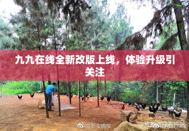 九九在线全新改版上线，体验升级引关注