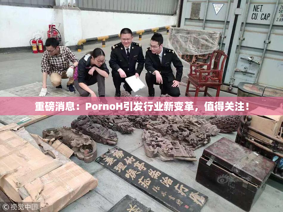 重磅消息：PornoH引发行业新变革，值得关注！