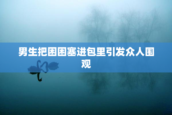 男生把困困塞进包里引发众人围观