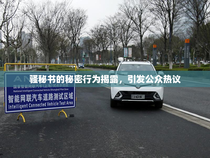 骚秘书的秘密行为揭露，引发公众热议