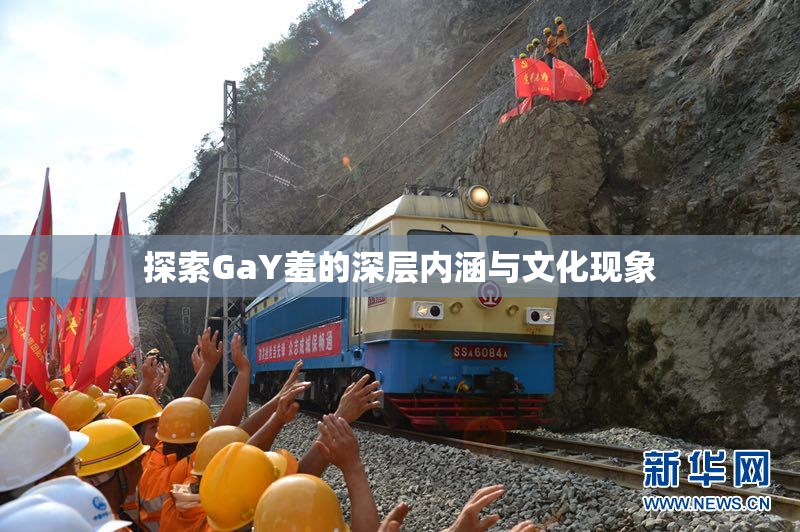 探索GaY羞的深层内涵与文化现象