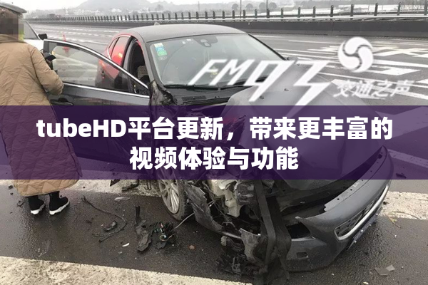 tubeHD平台更新，带来更丰富的视频体验与功能
