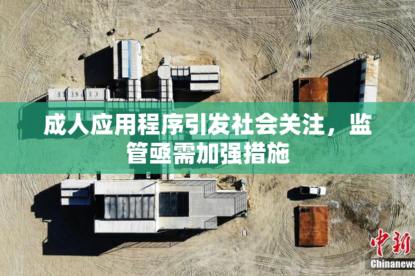 成人应用程序引发社会关注，监管亟需加强措施