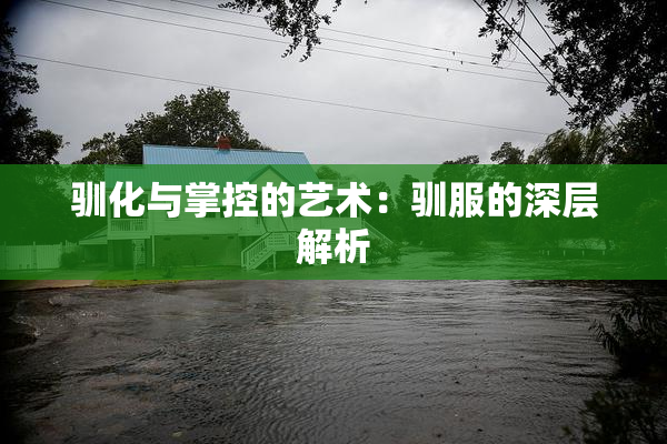 驯化与掌控的艺术：驯服的深层解析
