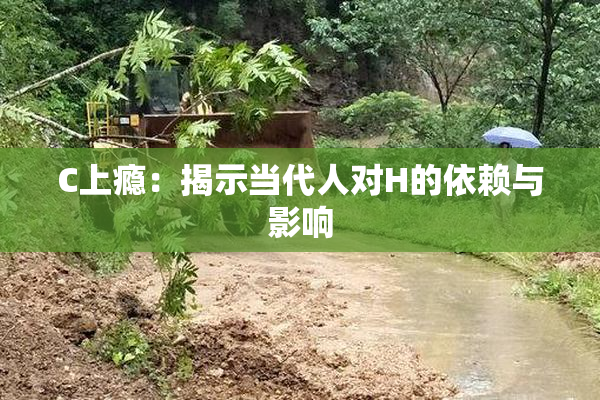 C上瘾：揭示当代人对H的依赖与影响