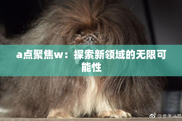a点聚焦w：探索新领域的无限可能性