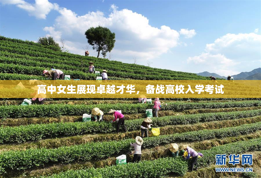 高中女生展现卓越才华，备战高校入学考试