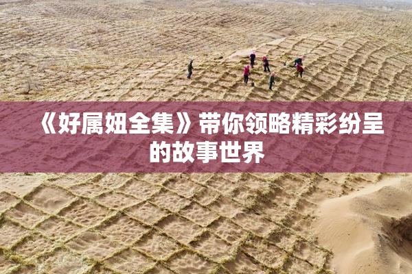 《好属妞全集》带你领略精彩纷呈的故事世界