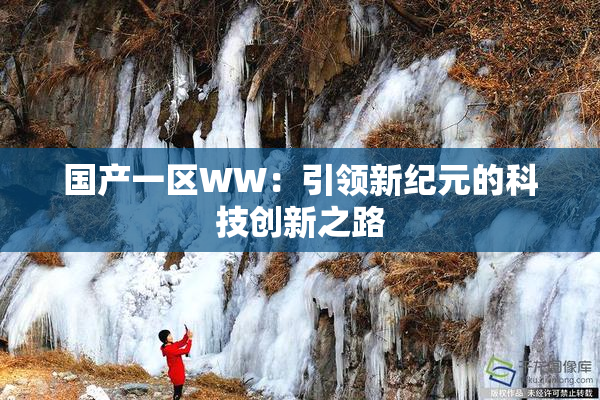 国产一区WW：引领新纪元的科技创新之路