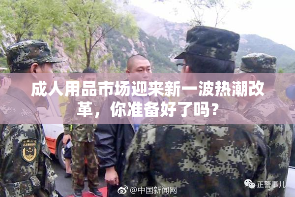 成人用品市场迎来新一波热潮改革，你准备好了吗？
