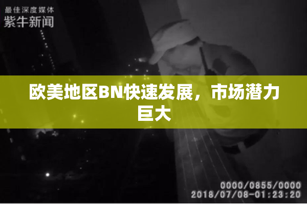 欧美地区BN快速发展，市场潜力巨大