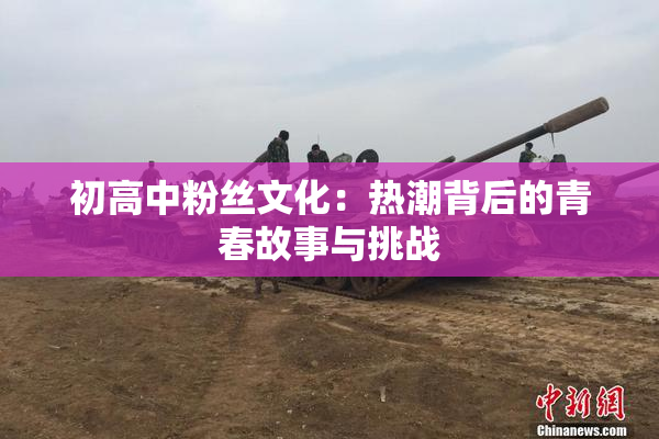 初高中粉丝文化：热潮背后的青春故事与挑战