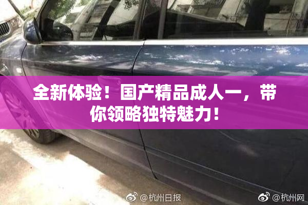 全新体验！国产精品成人一，带你领略独特魅力！