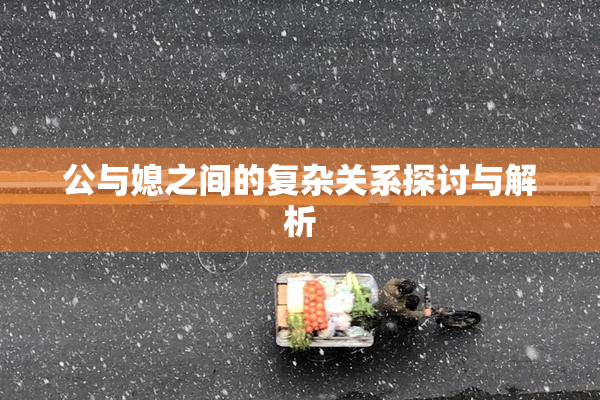 公与媳之间的复杂关系探讨与解析