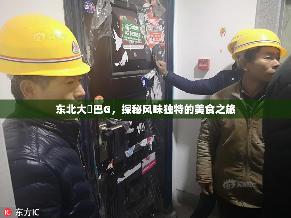 东北大鷄巴G，探秘风味独特的美食之旅