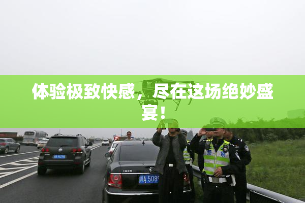 体验极致快感，尽在这场绝妙盛宴！