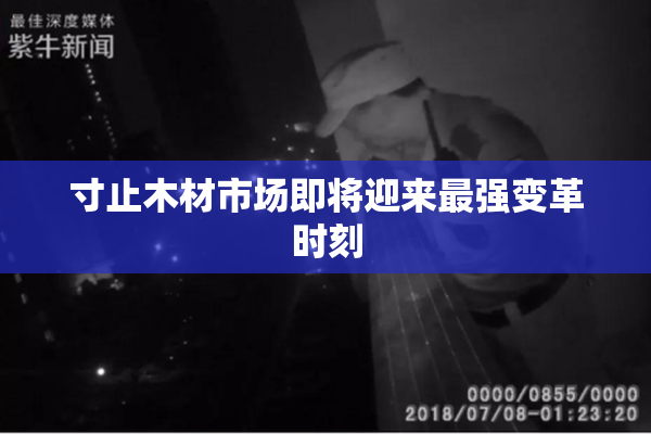 寸止木材市场即将迎来最强变革时刻