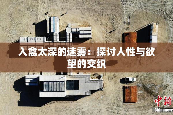 入禽太深的迷雾：探讨人性与欲望的交织