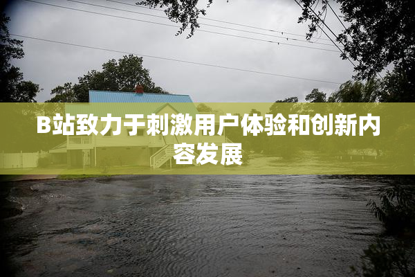B站致力于刺激用户体验和创新内容发展