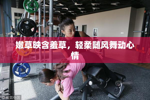 嫩草映含羞草，轻柔随风舞动心情