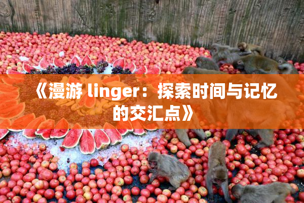 《漫游 linger：探索时间与记忆的交汇点》