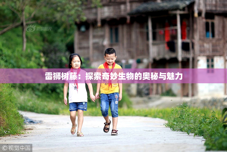 雷狮树藤：探索奇妙生物的奥秘与魅力