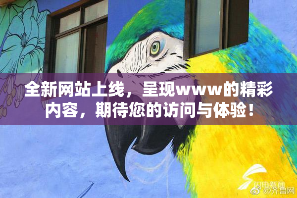 全新网站上线，呈现www的精彩内容，期待您的访问与体验！