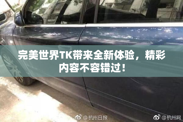 完美世界TK带来全新体验，精彩内容不容错过！