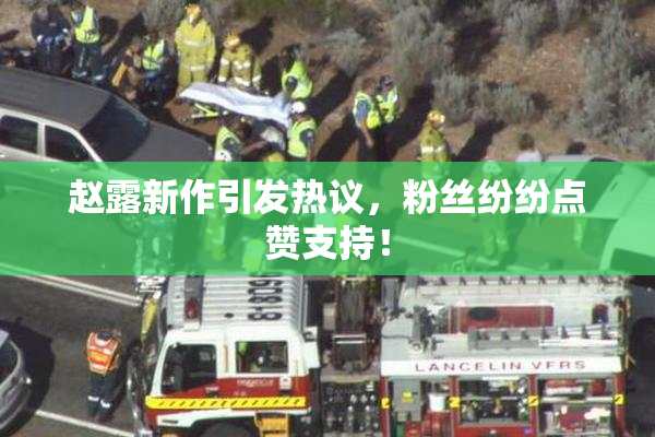 赵露新作引发热议，粉丝纷纷点赞支持！
