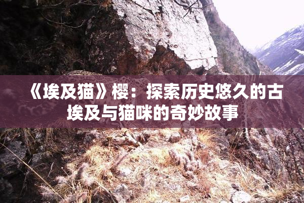 《埃及猫》樱：探索历史悠久的古埃及与猫咪的奇妙故事