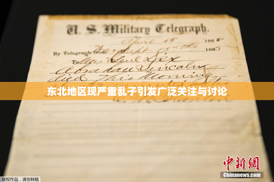 东北地区现严重乱子引发广泛关注与讨论