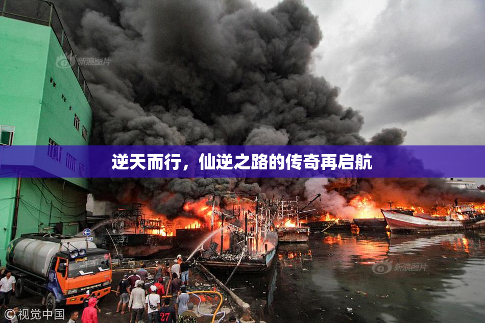 逆天而行，仙逆之路的传奇再启航