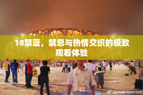 18禁蓝，禁忌与热情交织的极致观看体验