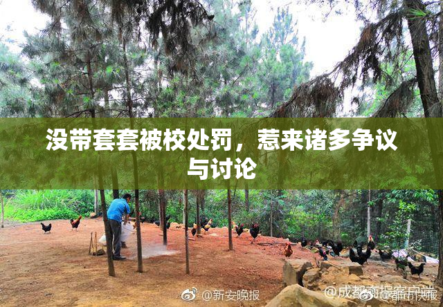 没带套套被校处罚，惹来诸多争议与讨论