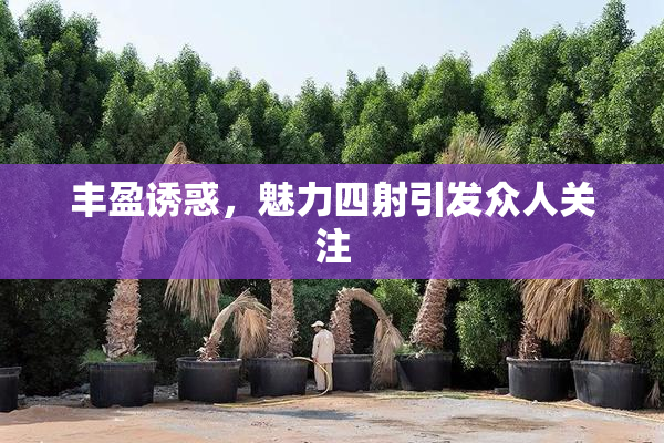 丰盈诱惑，魅力四射引发众人关注