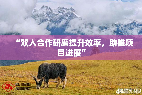 “双人合作研磨提升效率，助推项目进展”