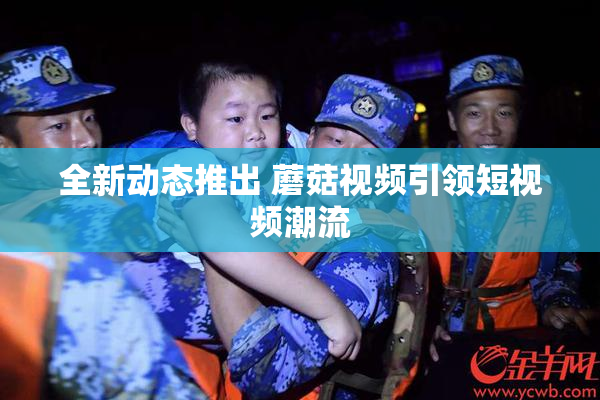 全新动态推出 蘑菇视频引领短视频潮流