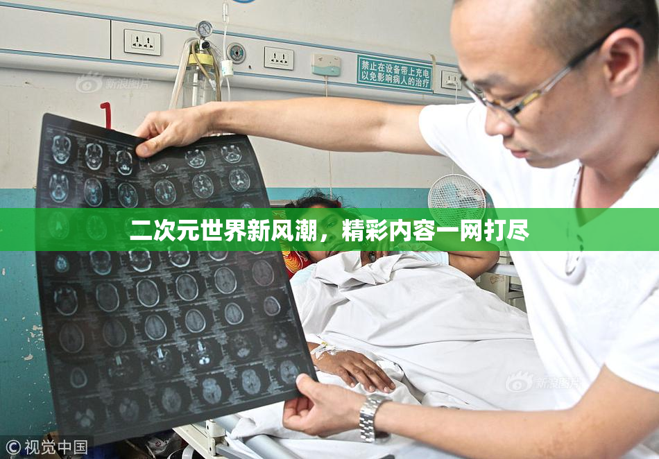 二次元世界新风潮，精彩内容一网打尽