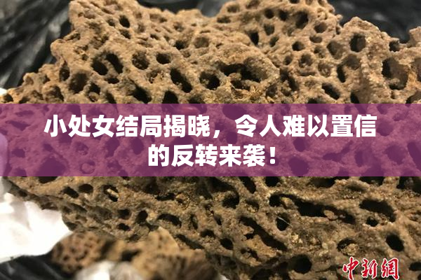小处女结局揭晓，令人难以置信的反转来袭！