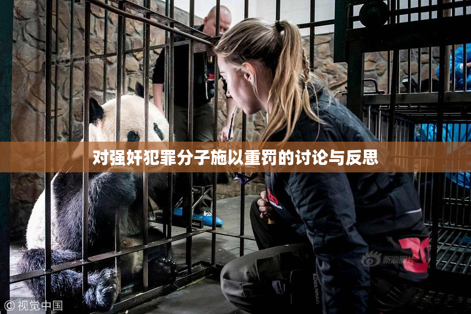 对强奸犯罪分子施以重罚的讨论与反思