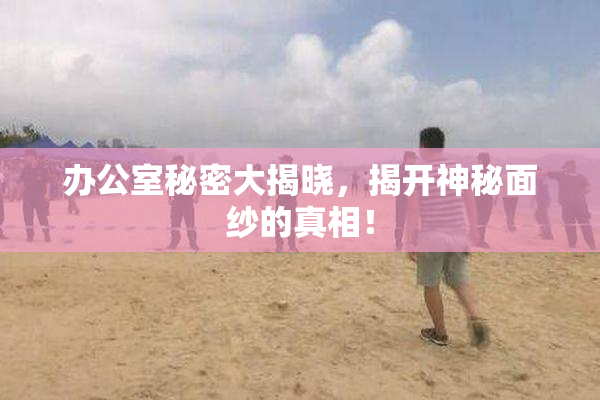 办公室秘密大揭晓，揭开神秘面纱的真相！