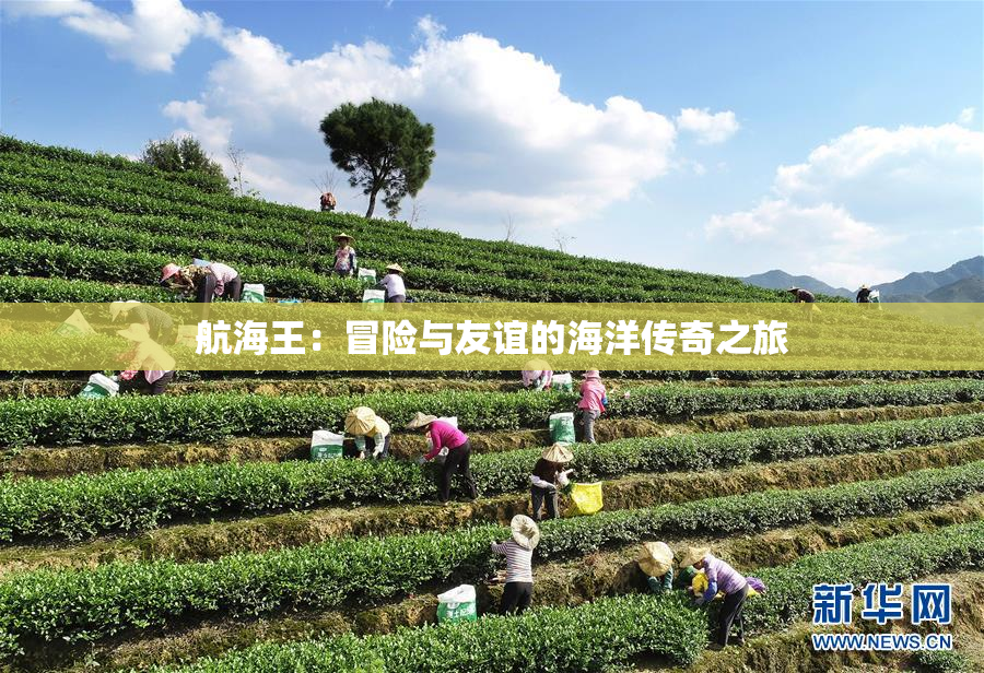 航海王：冒险与友谊的海洋传奇之旅