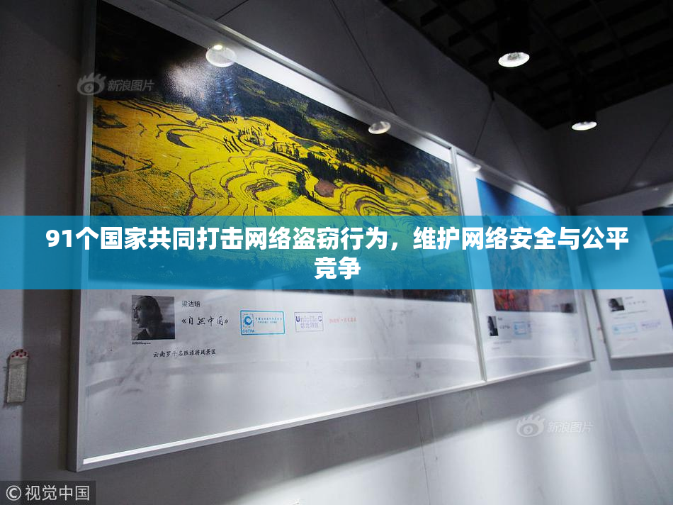 91个国家共同打击网络盗窃行为，维护网络安全与公平竞争