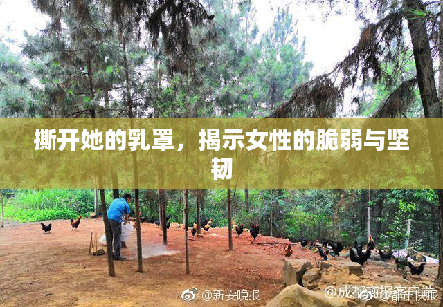 撕开她的乳罩，揭示女性的脆弱与坚韧